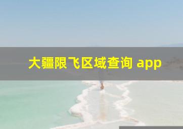 大疆限飞区域查询 app